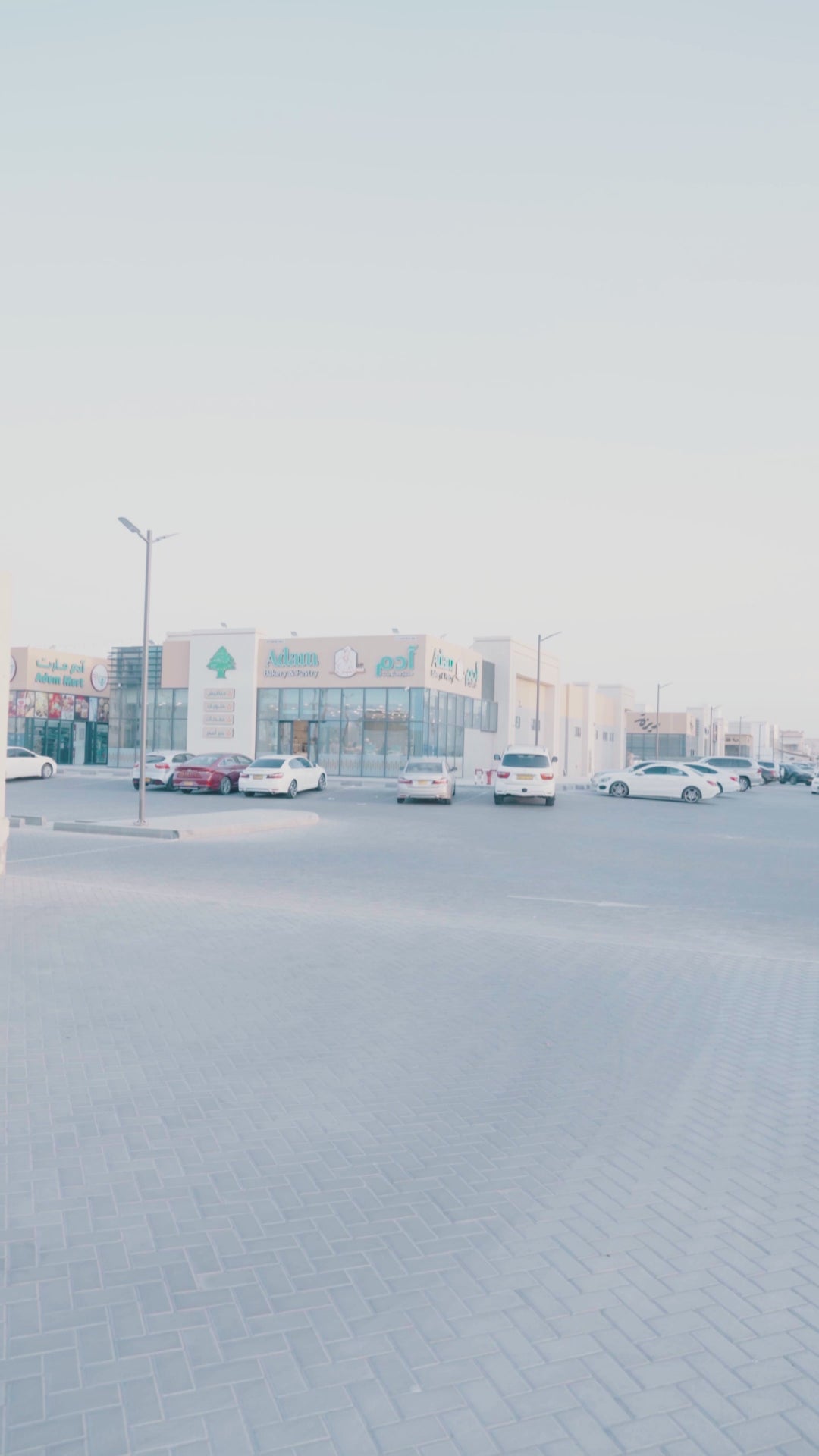 تحميل الفيديو: 