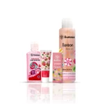 مجموعة أساسيات الحقيبة 1